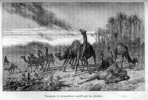 Nos ennemis, par Arthur Mangin - Stephane Pannemaker